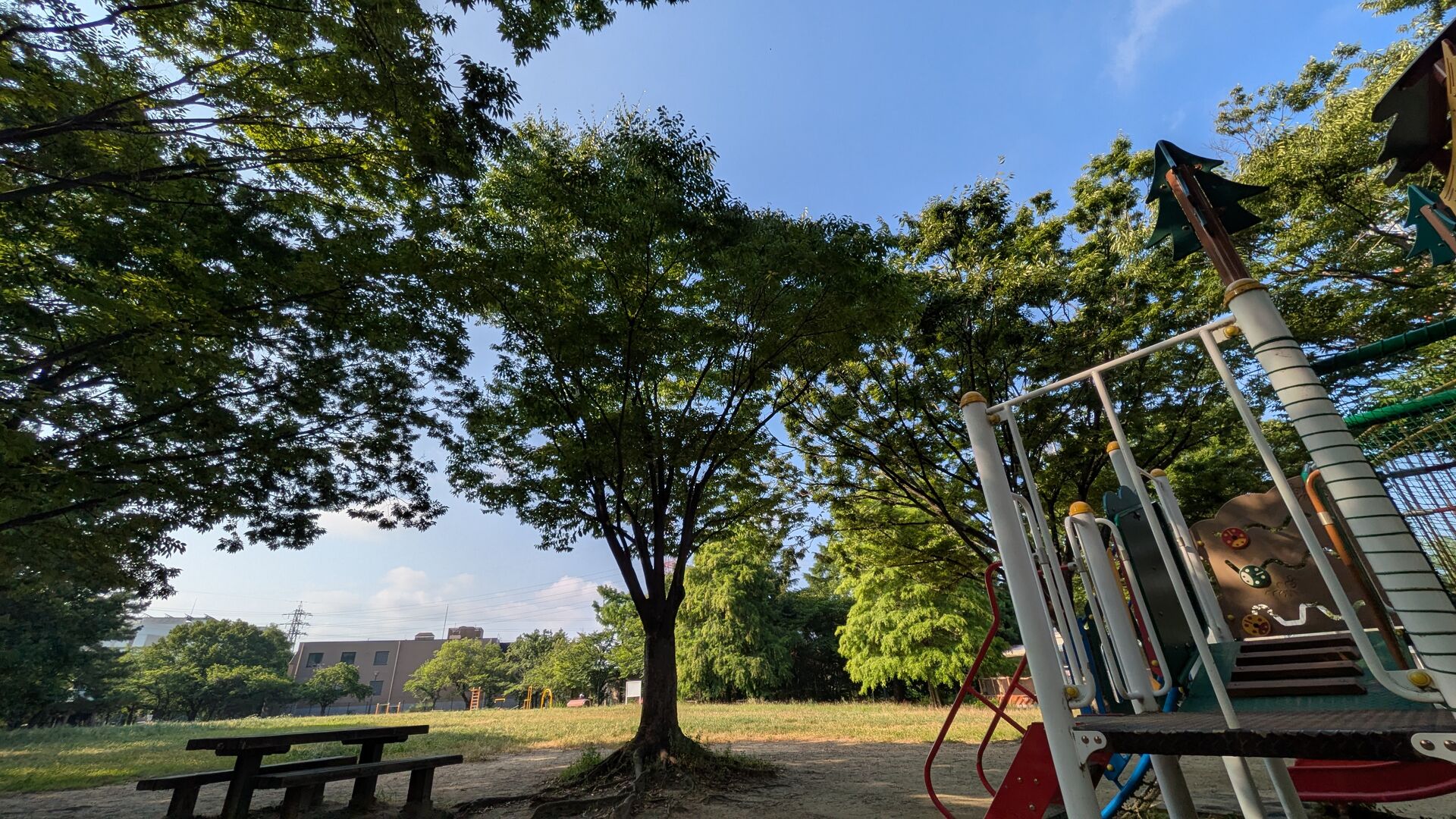 熱中症予防は兵庫県伊丹市おかだ鍼灸指圧こころ堂まで。