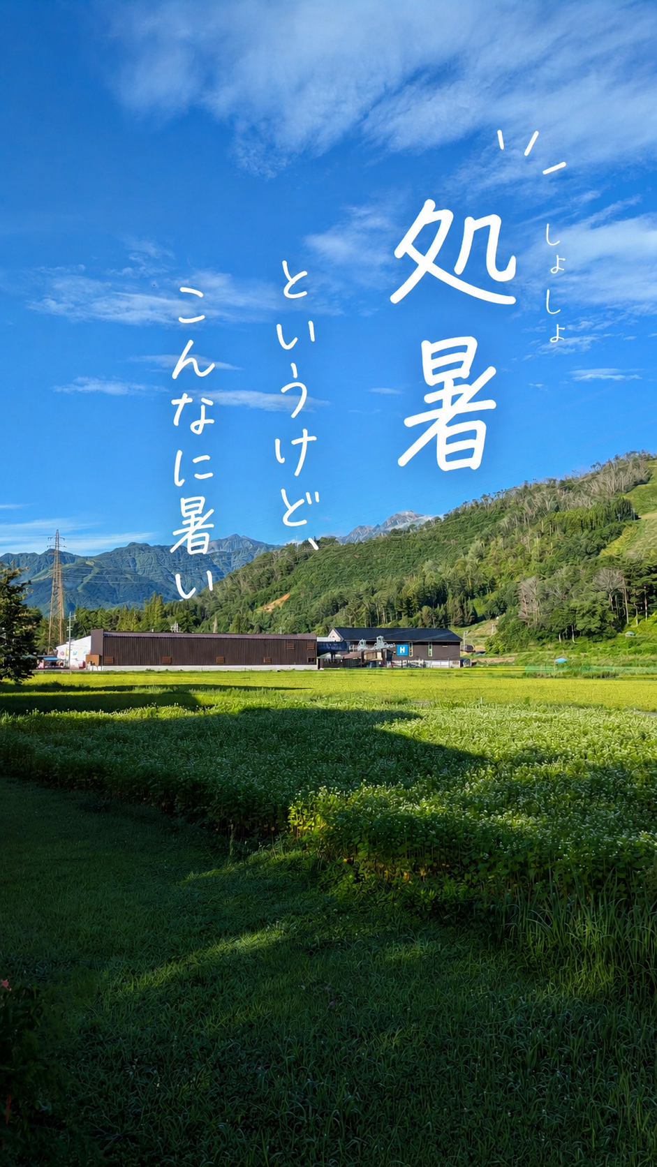 兵庫県伊丹市こころ堂、秋へ向かい始める