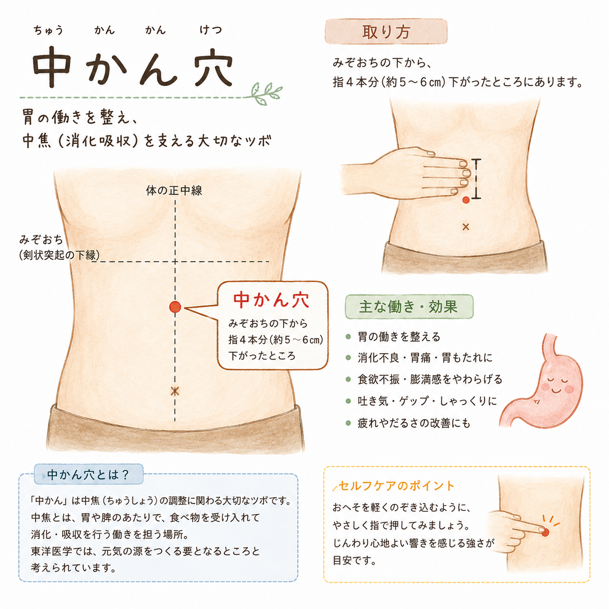 夏の疲れには、このツボを。兵庫県伊丹市こころ堂です。