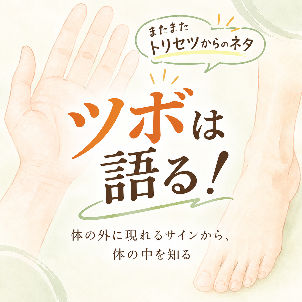 ツボは語る！体の外から体の中を知る東洋医学のしくみ。兵庫県伊丹市こころ堂。
