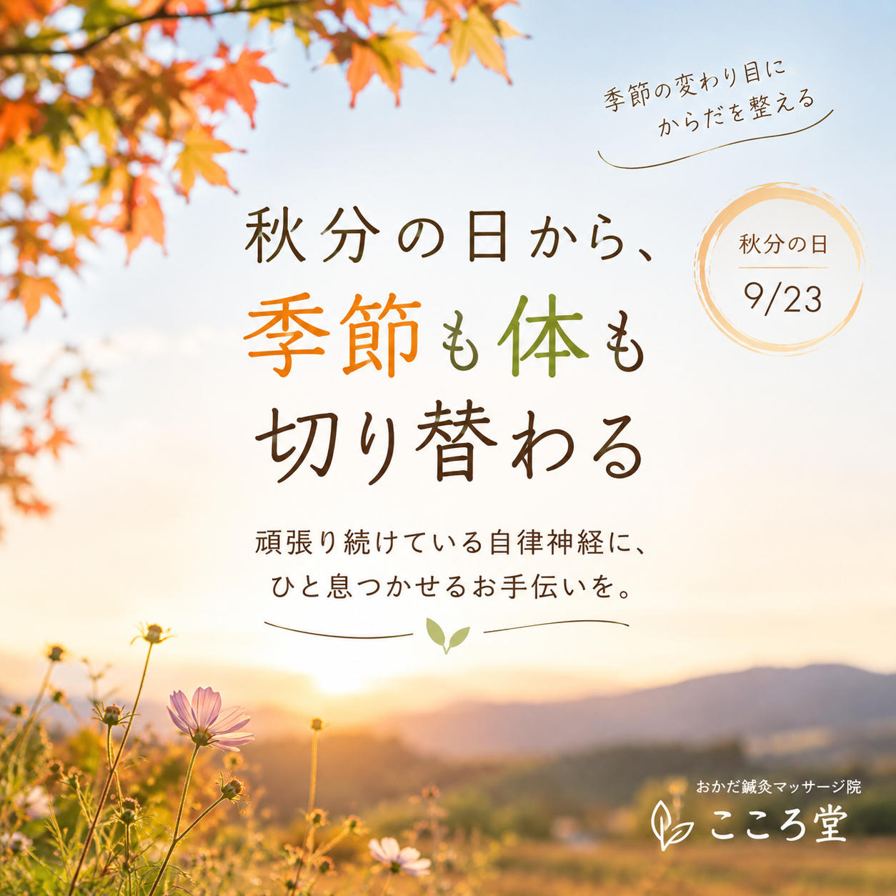 頑張り過ぎる自律神経に、ひと息つかせるお手伝い。こころ堂まで